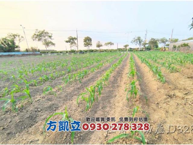麻豆農地-6