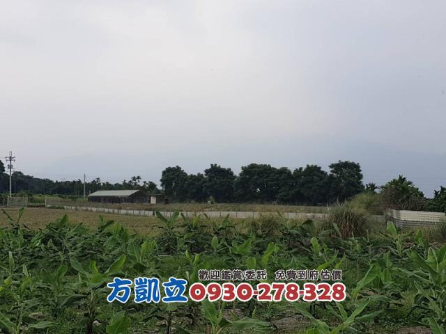 內埔農地-0