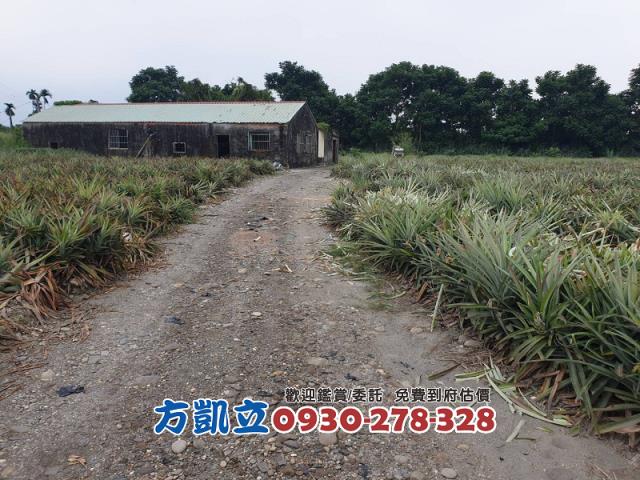 內埔農地-1
