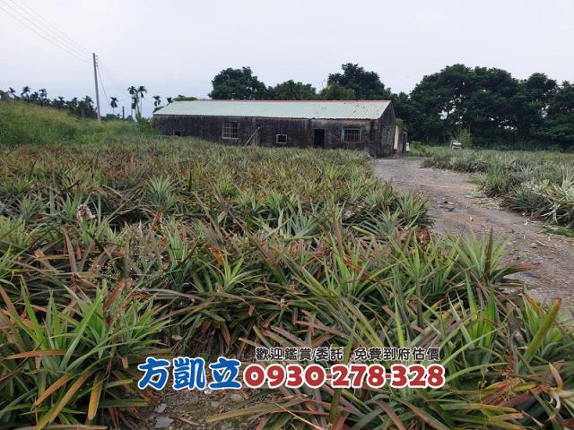 內埔農地-2