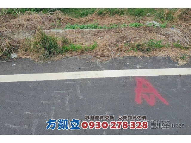 西港農地-9