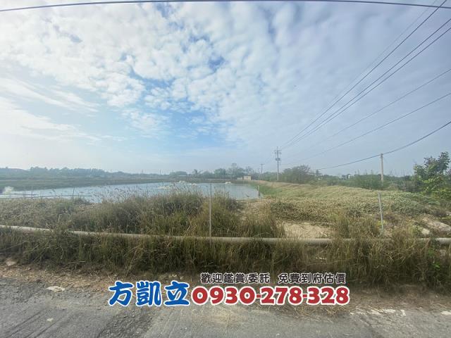 鹽水農地-2