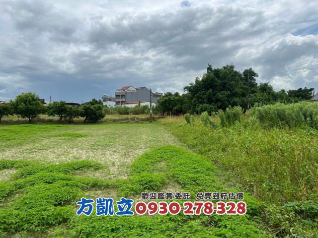 台南鹽水農地-6