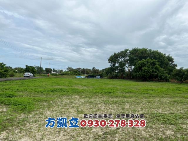 台南鹽水農地-3
