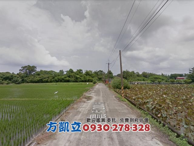 六甲農地-8