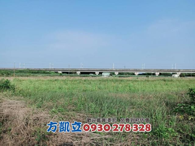 善化農地-1