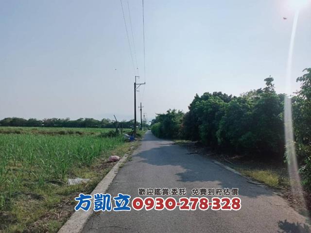 善化農地-4