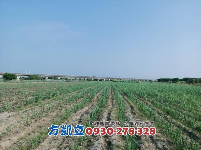 善化農地-5