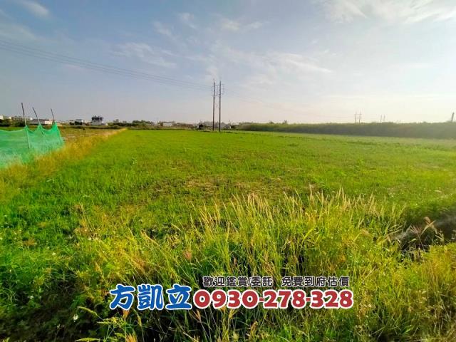 台南新市農地-2
