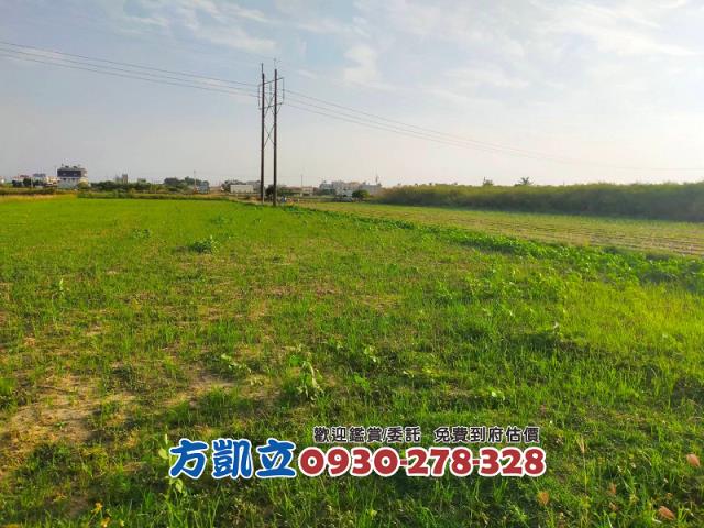 台南新市農地-4