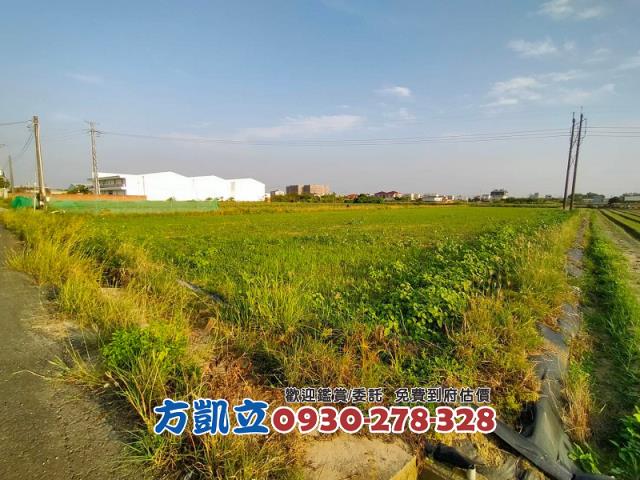 台南新市農地-5