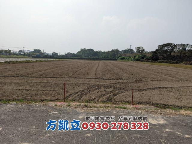 官田農地-6