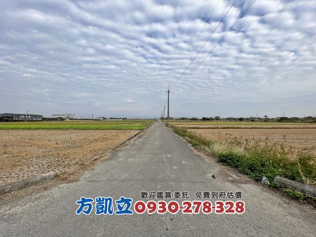 六甲農地-12
