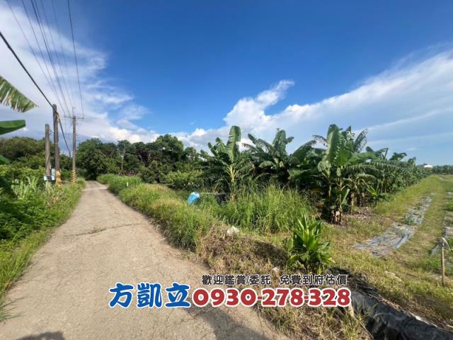 台南農地-9