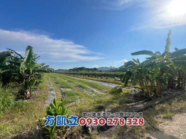 台南農地-0