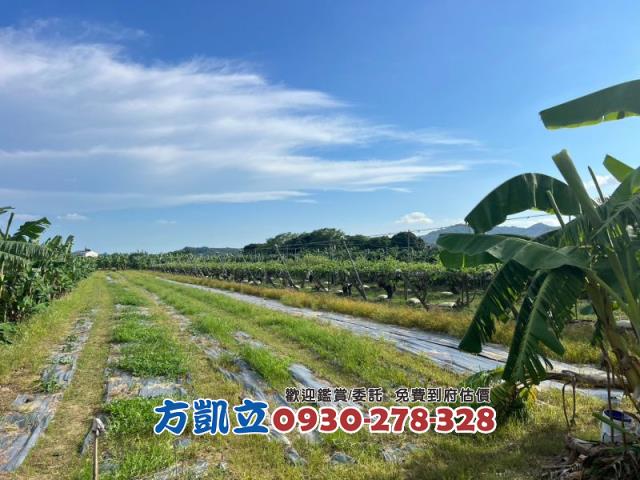 台南農地-2