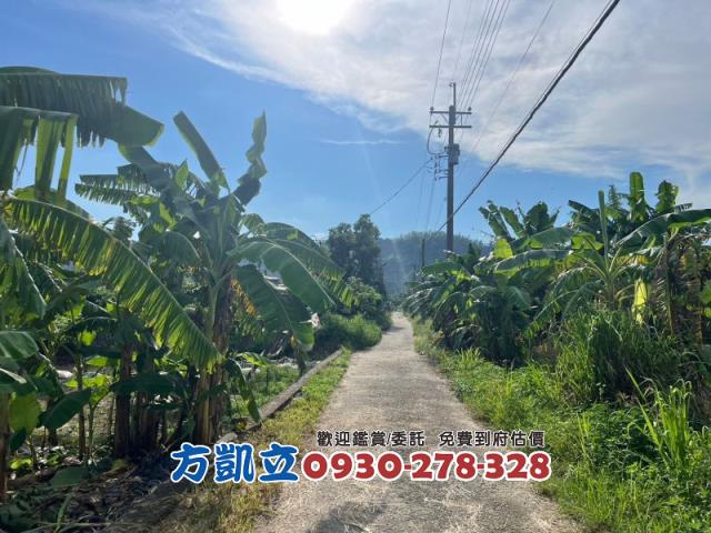 台南農地-3