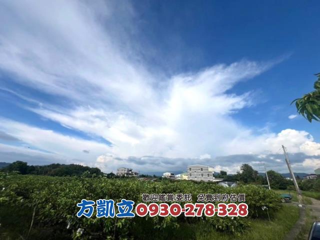台南農地-5