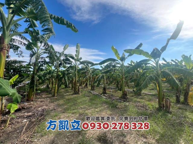 台南農地-6