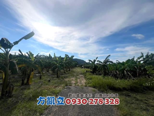 台南農地-7