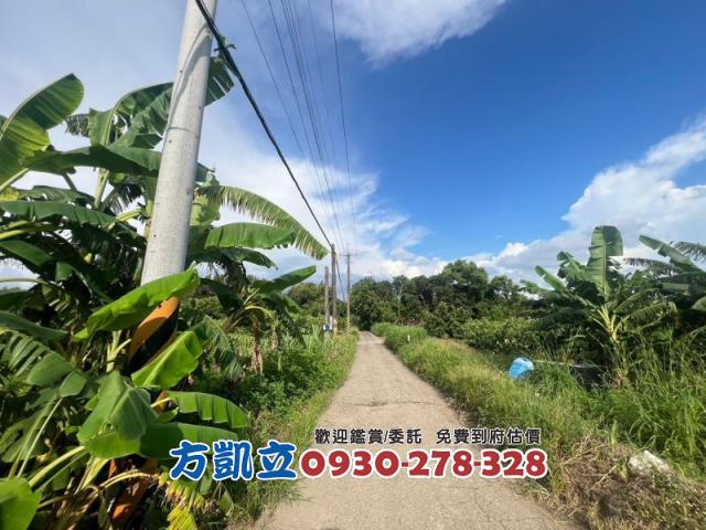 台南農地-8