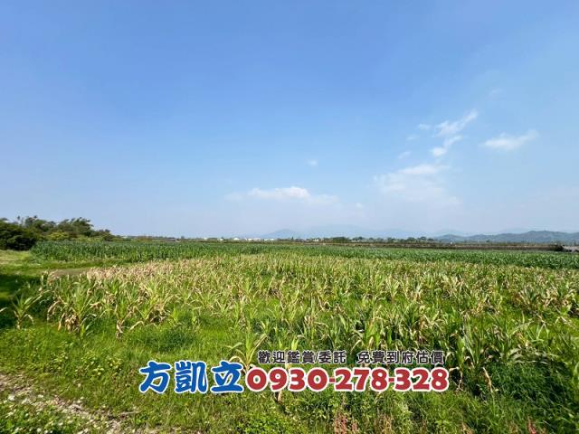 東山農地-10