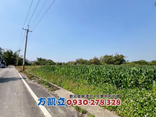 東山農地-1