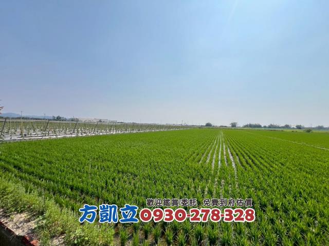 東山農地-2