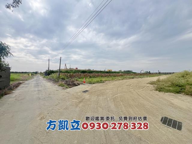 麻豆農地-2