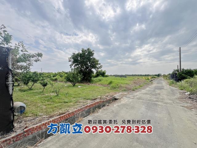 麻豆農地-3