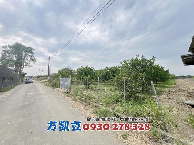 麻豆農地-4