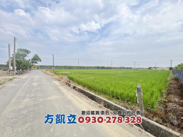 麻豆農地-5