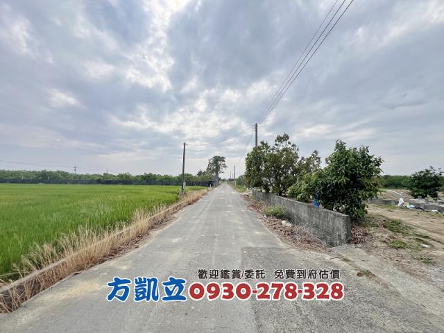 麻豆農地-6